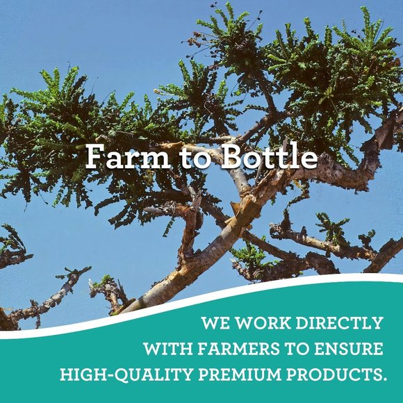 Guru Nanda - Frankincense Essential Oil - Picture 7 of 7